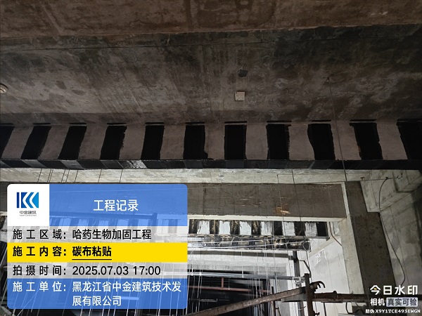 香港摇钱树资料网