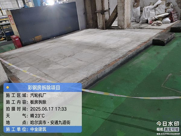 香港摇钱树资料网