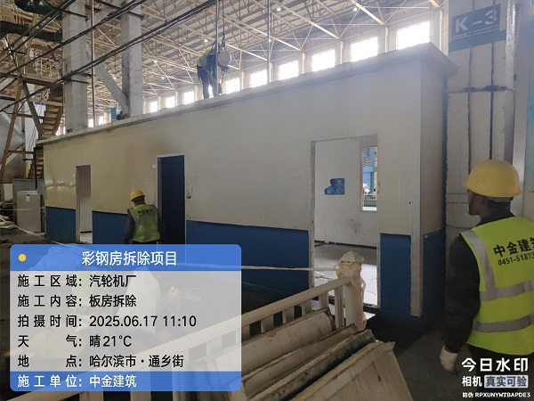 香港摇钱树资料网