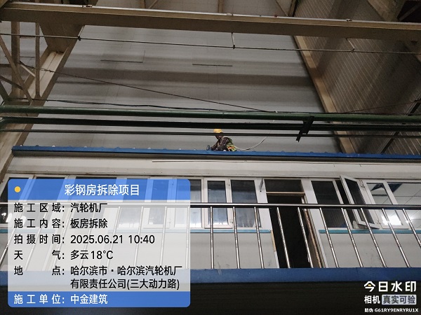 香港摇钱树资料网