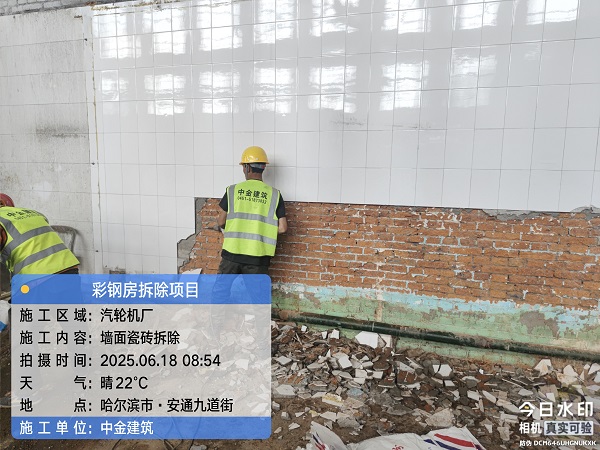 香港摇钱树资料网