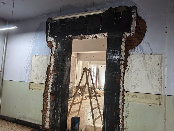 香港摇钱树资料网