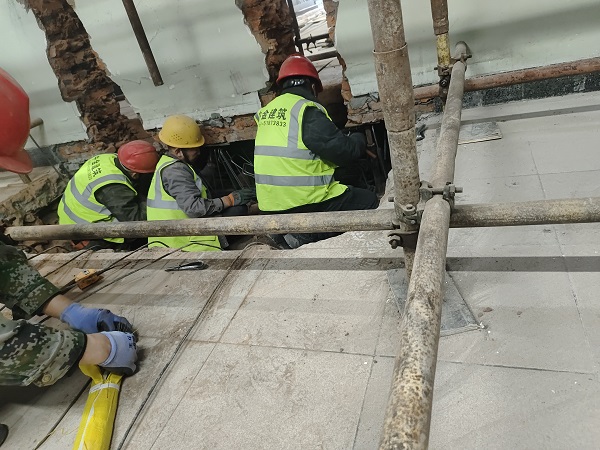 香港摇钱树资料网