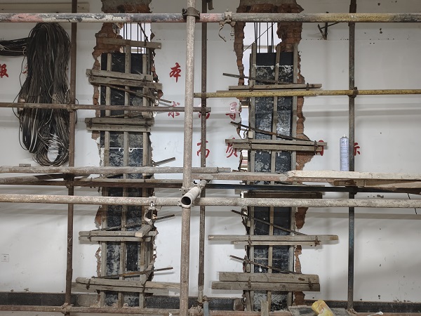 香港摇钱树资料网