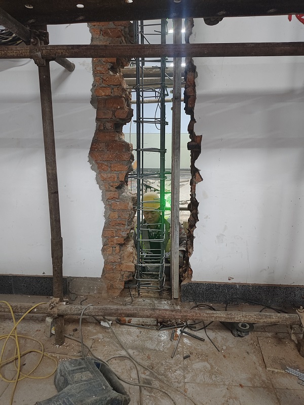 香港摇钱树资料网