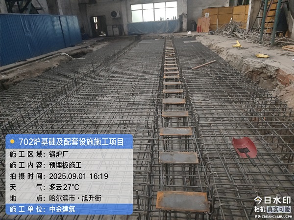 香港摇钱树资料网