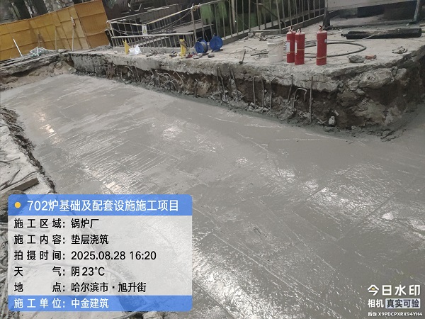 香港摇钱树资料网