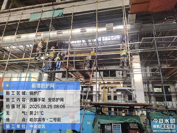 香港摇钱树资料网