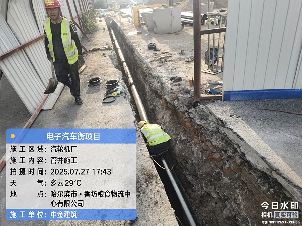 香港摇钱树资料网