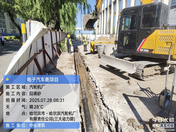香港摇钱树资料网