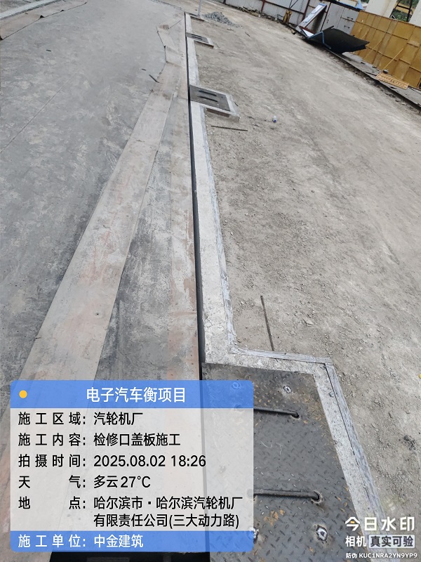 香港摇钱树资料网