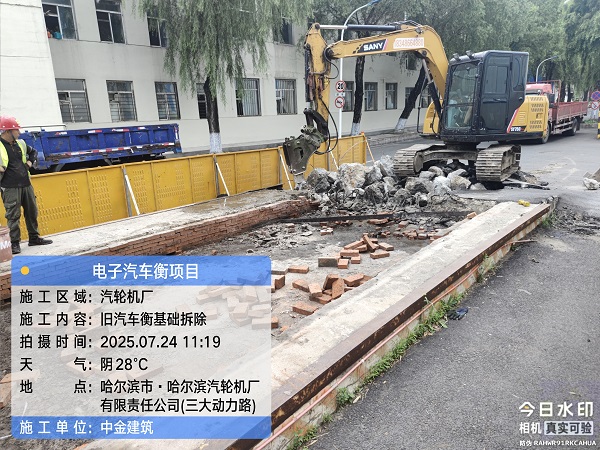 香港摇钱树资料网