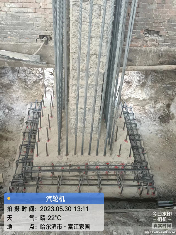 香港摇钱树资料网