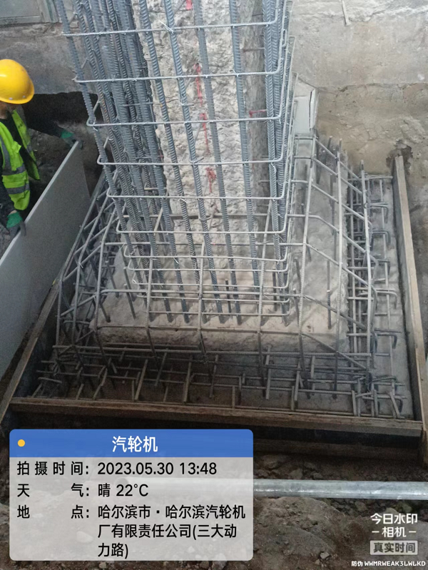 香港摇钱树资料网