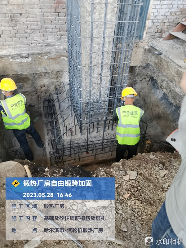 香港摇钱树资料网