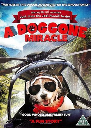 A Doggone Hollywood (2017) 1 หมาในฮอลลีวู้ด