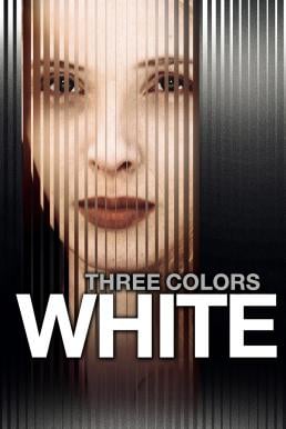 Three Colors White (Trois couleurs Blanc) (1994)